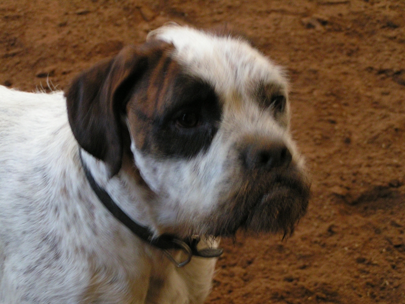 DECEMBRE 2005 200.jpg